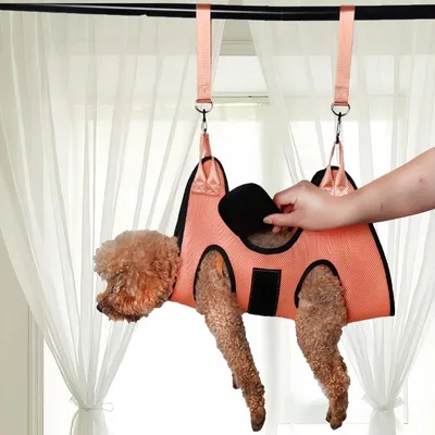 Pawzy Hamac de toilettage pour chats et chiens couleur orange