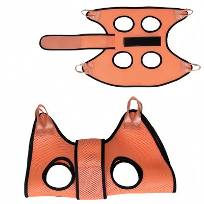 Pawzy Hamac de toilettage pour chats et chiens couleur orange