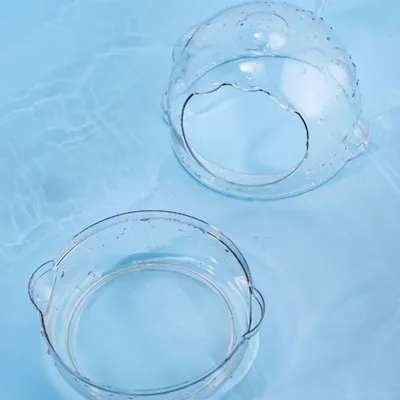 Pawzy Baignoire à sable pour petits animaux