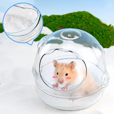 Pawzy Baignoire à sable pour petits animaux