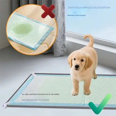 Pawzy Couverture anti - urine réutilisable pour chien