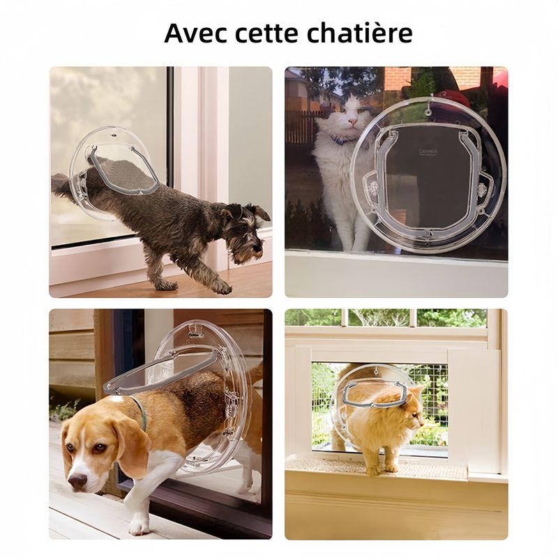 Pawzy Chatière à verrouillage 4 positions