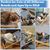Pawzy Transat en bois pour chats