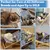 Pawzy Transat en bois pour chats