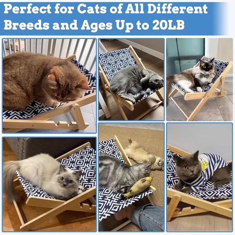 Pawzy Transat en bois pour chats