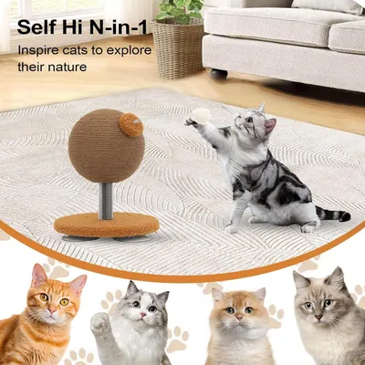 Pawzy Boule griffoir chat - Rotation 360° & jeu interactif