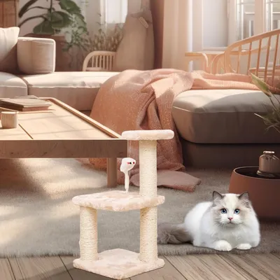 Pawzy Arbre à chat mini - Structure multi-niveaux pour chaton
