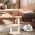 Pawzy Arbre à chat mini - Structure multi-niveaux pour chaton
