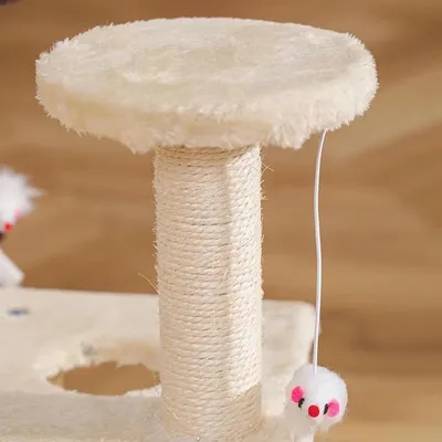Pawzy Arbre à chat mini - Structure multi-niveaux pour chaton