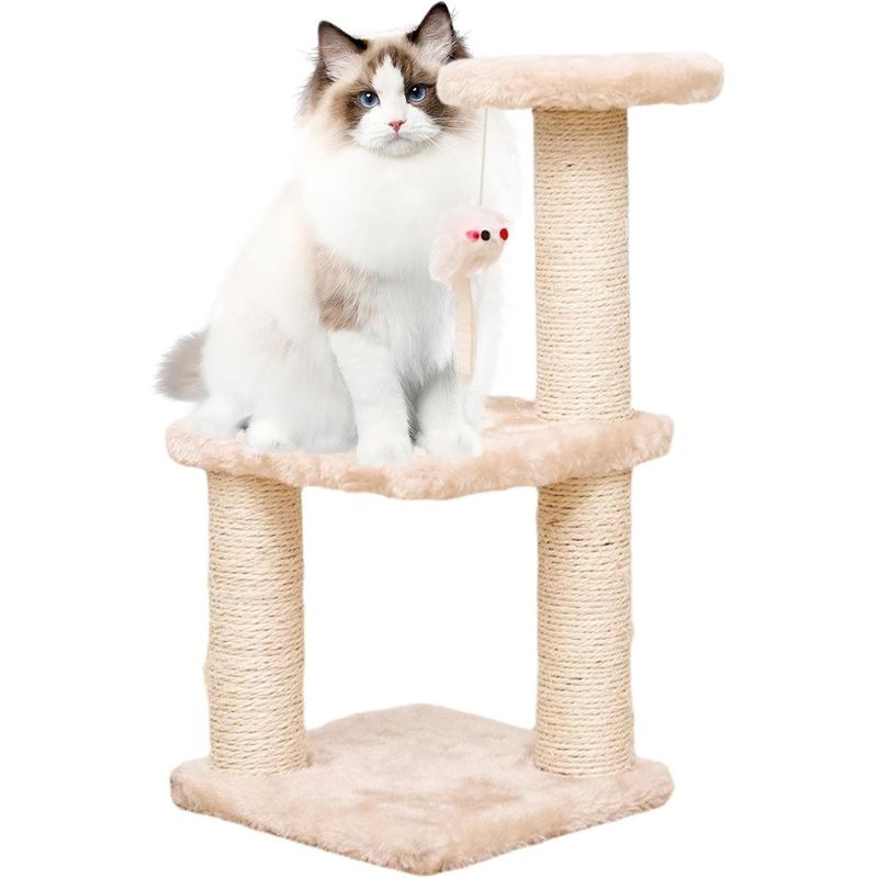 Pawzy Arbre à chat mini - Structure multi-niveaux pour chaton