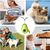 Pawzy Bola de aguacate con hierba gatera - Juguete interactivo para gatos