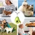 Pawzy Bola de aguacate con hierba gatera - Juguete interactivo para gatos