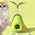 Pawzy Bola de aguacate con hierba gatera - Juguete interactivo para gatos