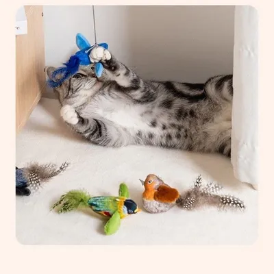 Pawzy Jouet pour chat imitation oiseau gazouillant