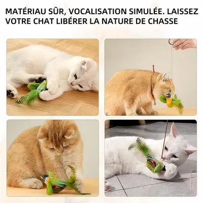Pawzy Jouet pour chat imitation oiseau gazouillant