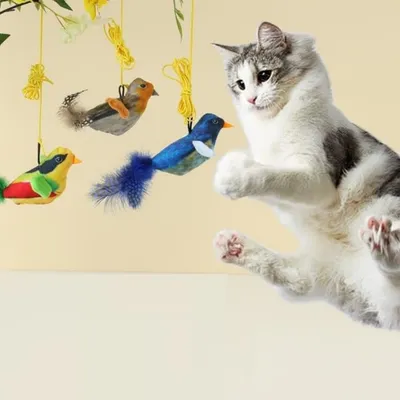 Pawzy Jouet pour chat imitation oiseau gazouillant
