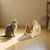 Pawzy Boule griffoir chat - Jouet interactif d'intérieur
