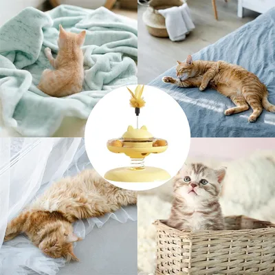 Pawzy Distributeur automatique 3 en 1