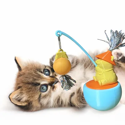 Pawzy Jouet 3 en 1 pour chat