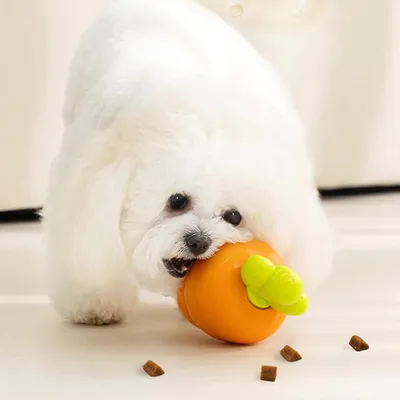 Pawzy Juguete masticable interactivo para perros