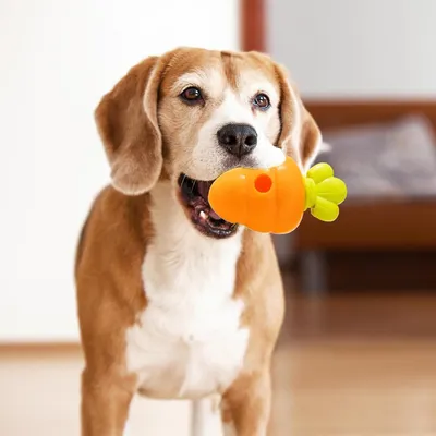 Pawzy Juguete masticable interactivo para perros