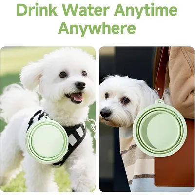 Pawzy Kit voyage - 2 bols pliables pour chien