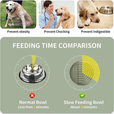 Pawzy Slow feeder pour chien - Lavable & stable