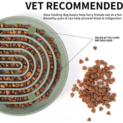 Pawzy Comedero de alimentación lenta para perros - Lavable y estable