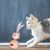 Pawzy Jouet anti - ennui en forme d'ovni pour chat