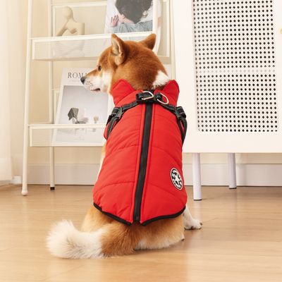Pawzy Harnais de poitrine assorti à une veste d'hiver pour chien