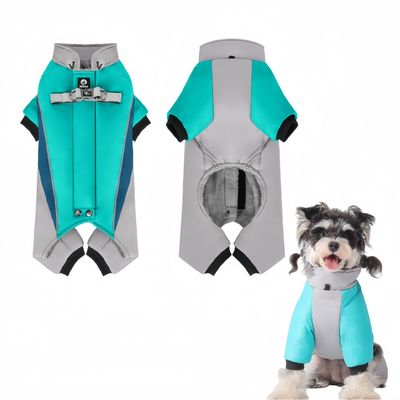 Pawzy Manteau chaud pour chien