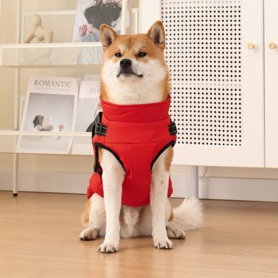 Pawzy Harnais de poitrine assorti à une veste d'hiver pour chien