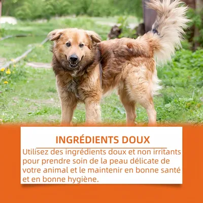 Pawzy Lingettes pour animaux de compagnie