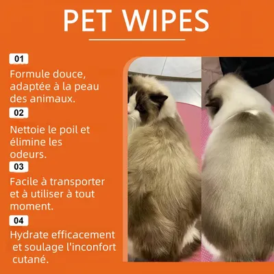 Pawzy Lingettes pour animaux de compagnie
