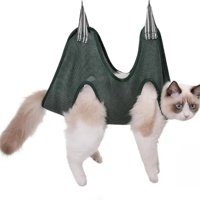 Pawzy Hamac de toilettage pour chats et chiens verte