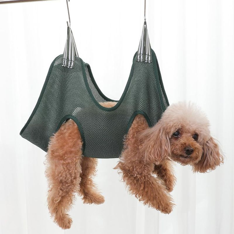 Pawzy Hamac de toilettage pour chats et chiens verte