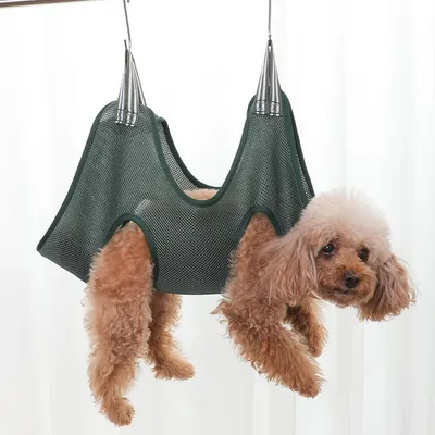 Pawzy Hamac de toilettage pour chats et chiens verte