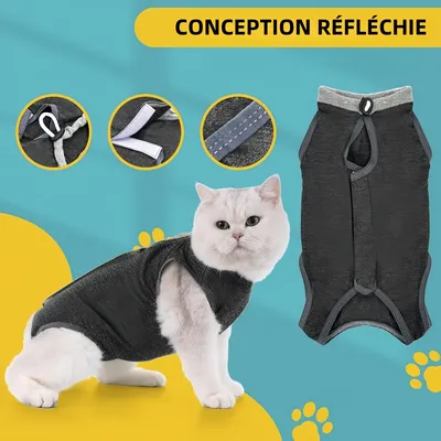 Pawzy Vêtement de rééducation post - opératoire pour chat Pawzy Vêtement de rééducation post - opératoire pour chat