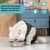Pawzy Vêtement de rééducation post - opératoire pour chat Pawzy Vêtement de rééducation post - opératoire pour chat
