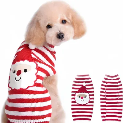 Pawzy Pull de Noël pour chien