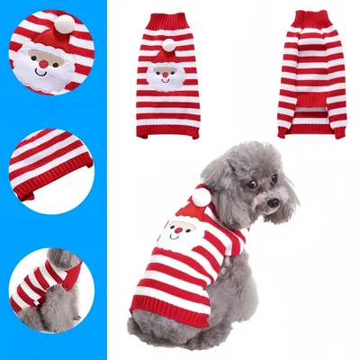Pawzy Pull de Noël pour chien