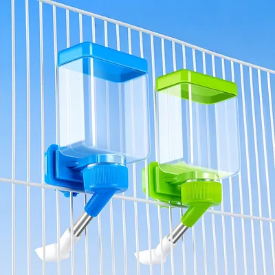 Pawzy Abreuvoir automatique pour oiseaux