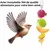 Pawzy Mangeoire suspendue pour oiseaux