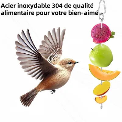 Pawzy Mangeoire suspendue pour oiseaux