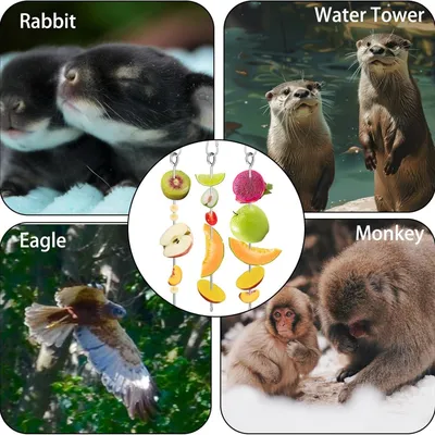 Pawzy Mangeoire suspendue pour oiseaux