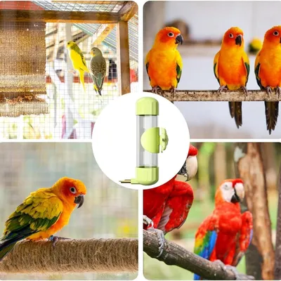 Pawzy Buveur d'eau pour oiseaux avec