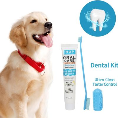 Pawzy Coffret de brosses à dents et dentifrices pour chiens et chats