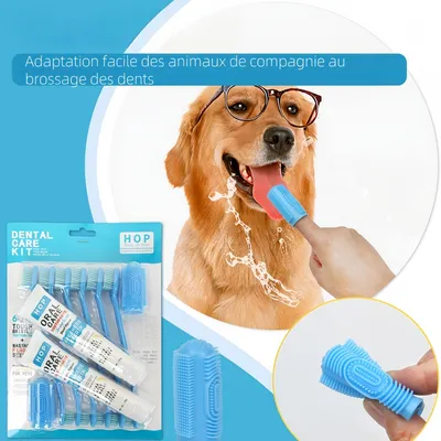 Pawzy Coffret de brosses à dents et dentifrices pour chiens et chats