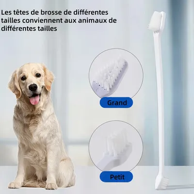 Pawzy Kit de nettoyage dentaire pour animaux