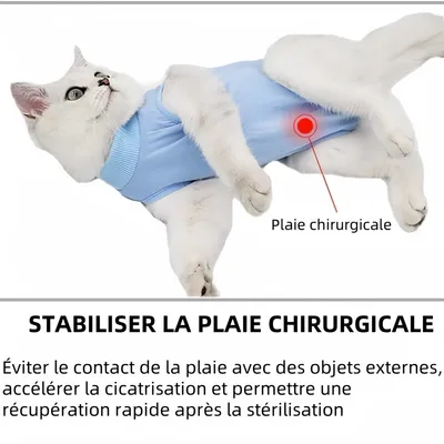 Pawzy Combinaison de convalescence pour chat